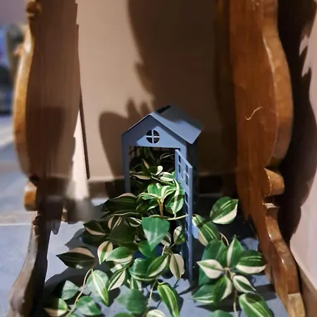 Casita Jolanda *