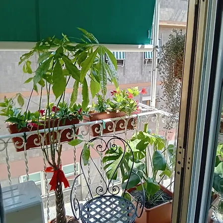 Apartment Casita Jolanda *